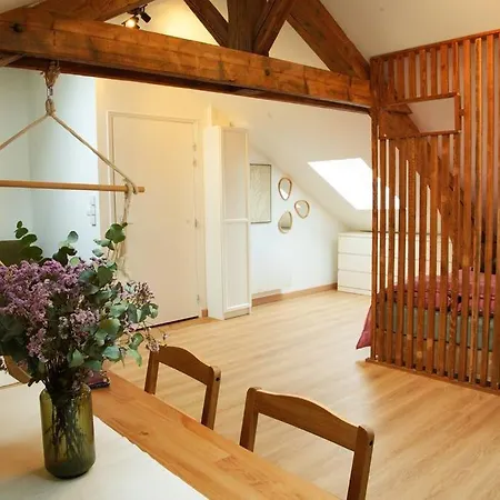 Apartamento De Charme à Nancy