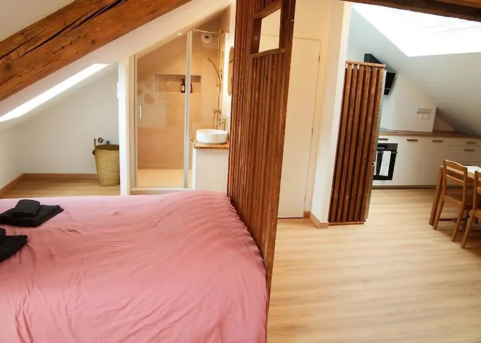 Апартаменты De Charme A Нанси